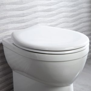 Best Toilet Seat