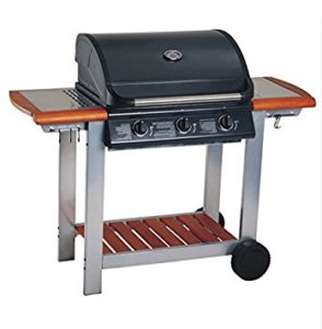 Best 12 Gas Barbeque
