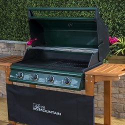 best gas barbecue
